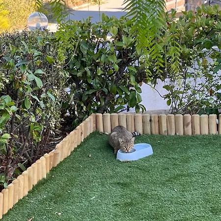 Ellie's House Theologos Lägenhet